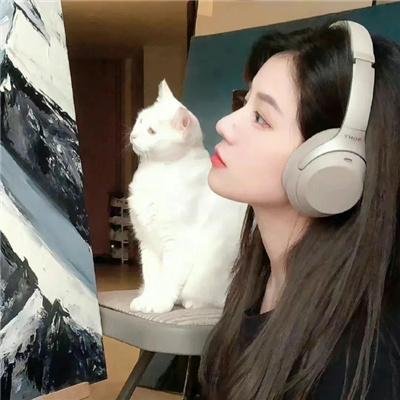 当哈利遇到莎莉